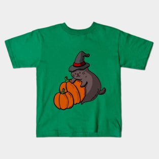 Cute Kittens - Pumpkin Field Kids T-Shirt